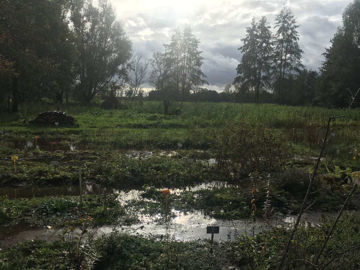 DeBiezen_76's tweet photo. Tja, Broekgronden hΓ© π§π€ #GimmersBroek #beekdal #snelleloop https://t.co/DpOPnQak4I