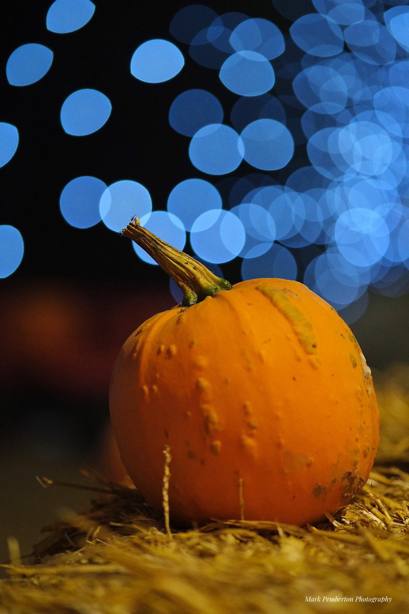 MarkPem28587357's tweet image. Some Halloween fun with the family @BarnBerryfields yesterday @visit_coventry @VisitEngland