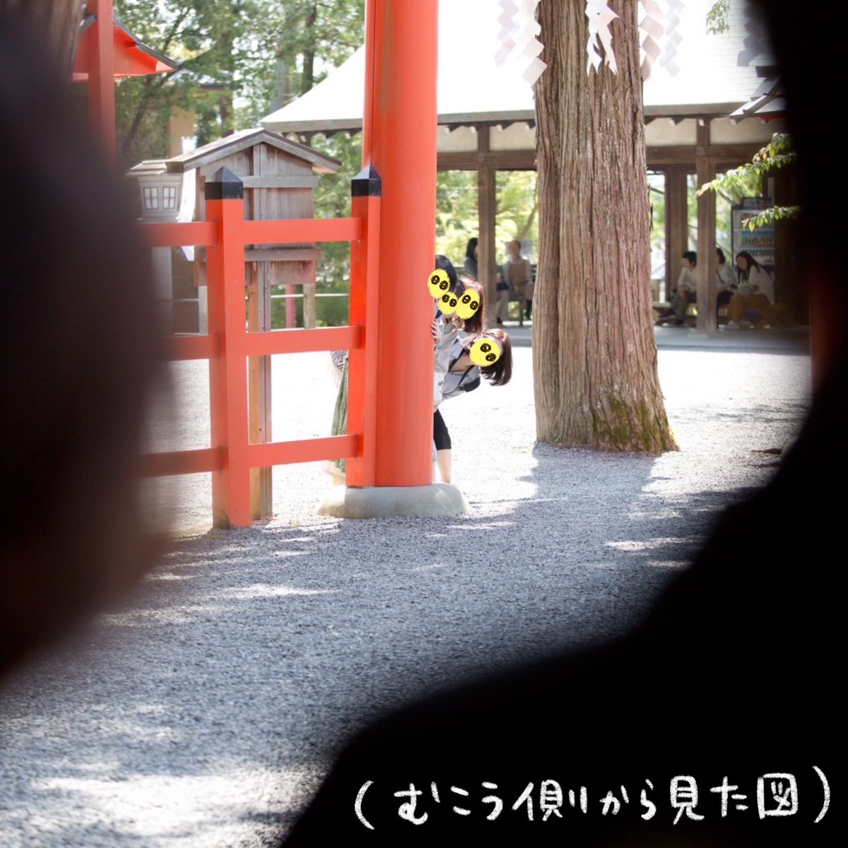 Mちゃんの結婚式(2/3)