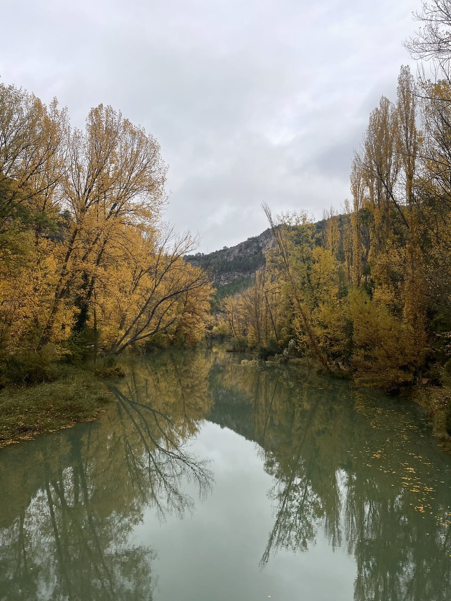 maferrrsa's tweet photo. Cuenca + otoño = magia ✨🍁🍂 https://t.co/ETJtwoZ6g7