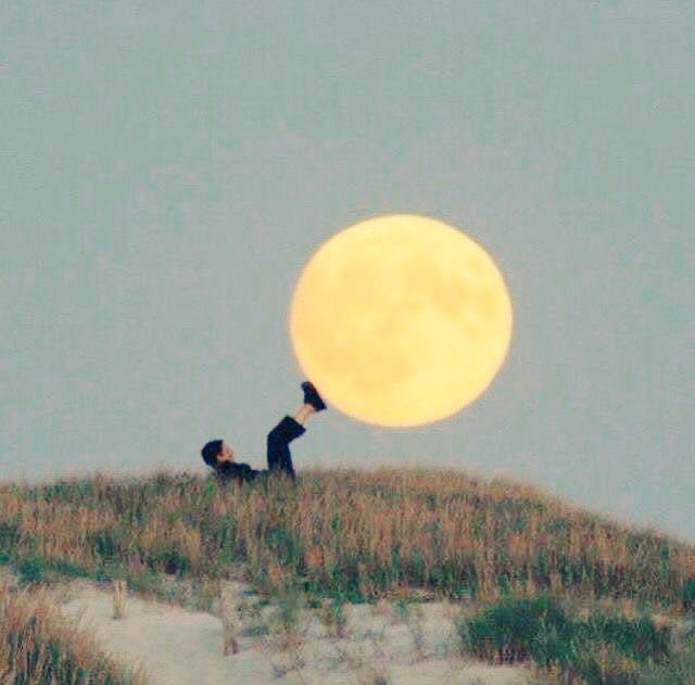 Notte illune
più non luca il malvagio orrore,
non si sveli l'abbandono d'ogni lealtà.
Sul piancito di sangue il cielo è buio
è sì pesante,
si propaga errante il cammino
dei cerberi. 
All'ombra d'un fico
dilacerano l'anima
a ogni l'alba che viene.
Ma la tenebra non ha l'eternità!