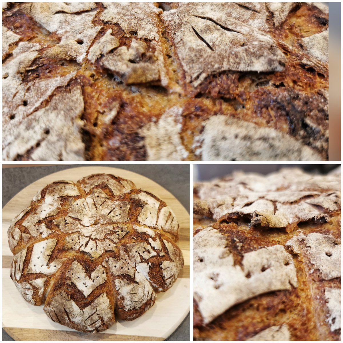 SteyManuel's tweet photo. Man sieht förmlich wie knusprig es ist 🤤
Roggenmischbrot, gelockert mit Sauerteig. Heute mal in Kürbisform.
#papabackt #sauerteig #sourdough #breadscoring #gusstopf #kuemmel #kuerbis #halloween https://t.co/lmCslWbCoU