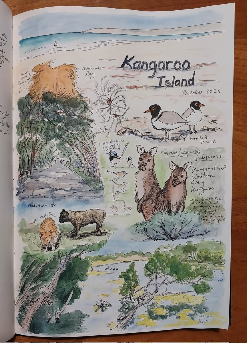 Some impressions of Kangaroo Island, South Australia
#naturejournal