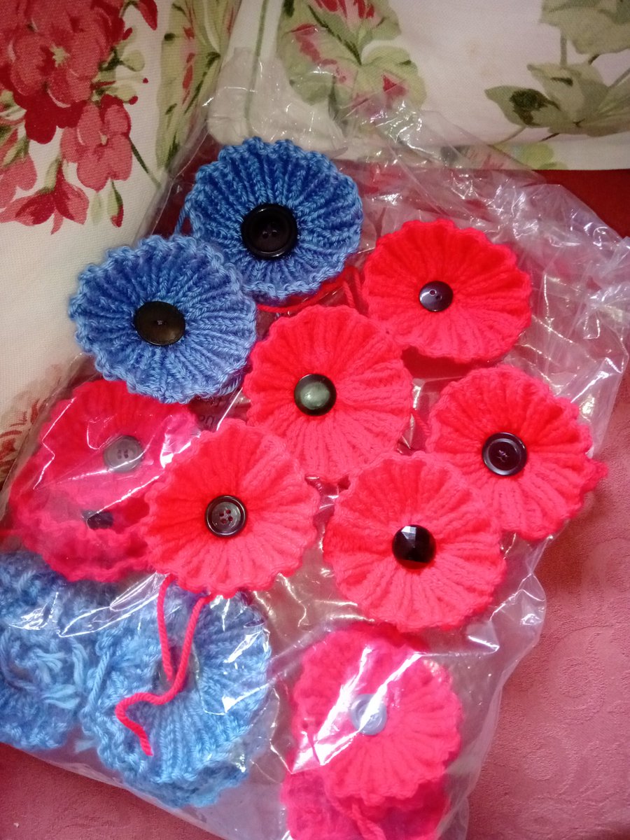 Catnip mice have temporarily been set aside for the knitting of Remembrance poppies for an animal therapy organisation. They'll be stitched to a pony rug for visits to veterans and a Remembrance parade.