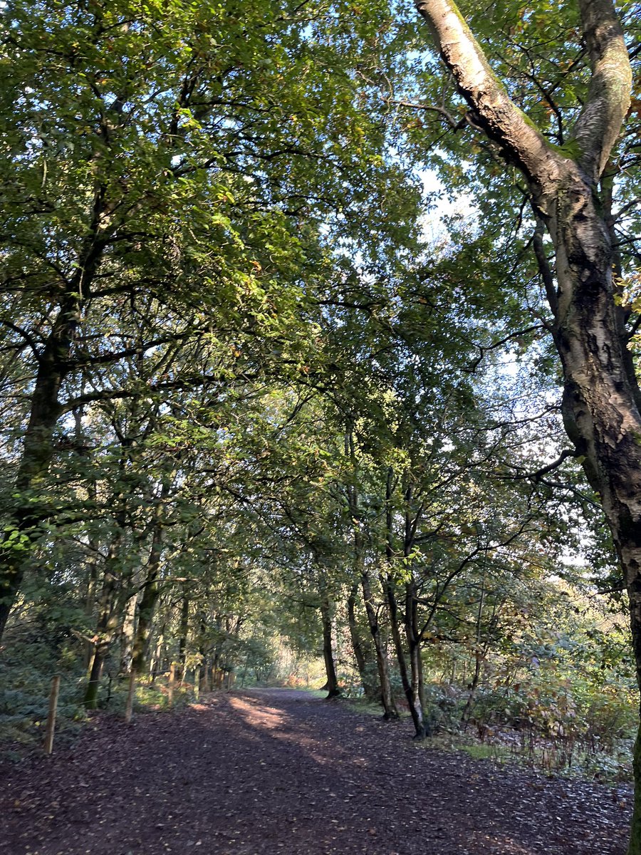 AniltailorT's tweet image. Lovely autumnal walk today at the Outwoods in Nanpantan.  Have a great day everyone #dogheaven #leicester 🐕‍🦺🌳❤️xx