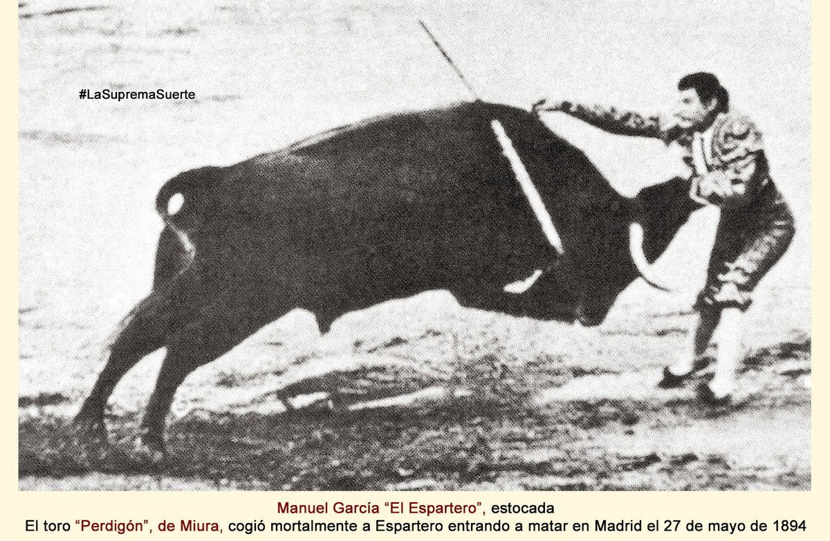 MartinAgueroE's tweet photo. #LaSupremaSuerte. Fotos antiguas sobre la más difícil y peligrosa suerte. Una de las fotos más impresionante en la suerte suprema es esta de “El Espartero” recibiendo al toro. El Espartero falleció en 1894; así que ¡esta estocada fue en 1894 o antes! https://t.co/VpAl0dy7Qi