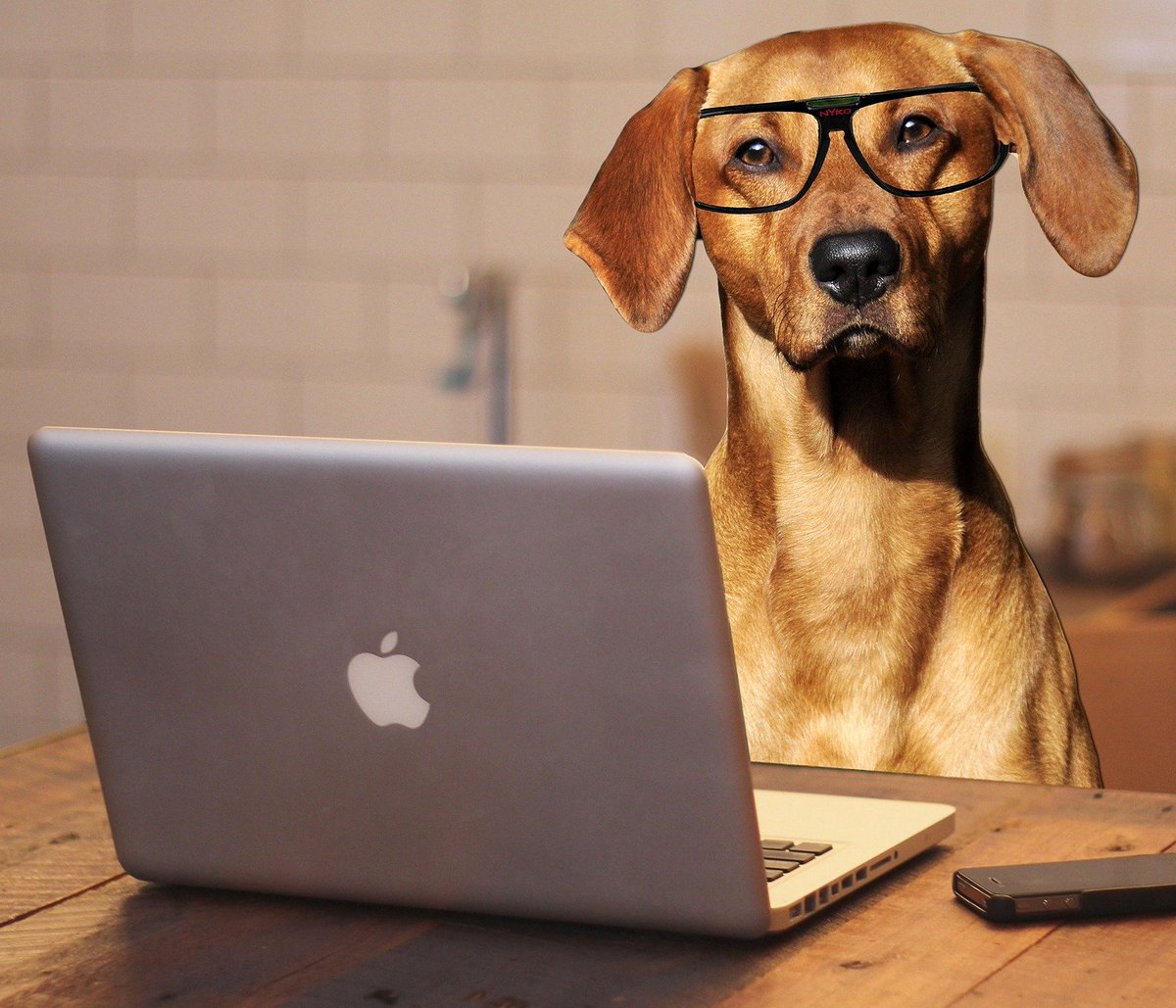 #WiseWritersWord from Lee Child, born on this day in 1954...

'The way to write a thriller is to ask a question at the beginning, and answer it at the end.'

📚📔#WritingLife #Writers #JamesetMoi