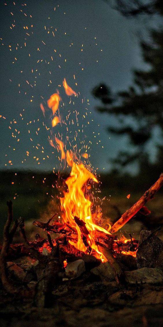 PropositoyVida's tweet photo. "El fuego prueba al oro. La adversidad prueba al hombre".

- Séneca https://t.co/FUtKsfUB1j