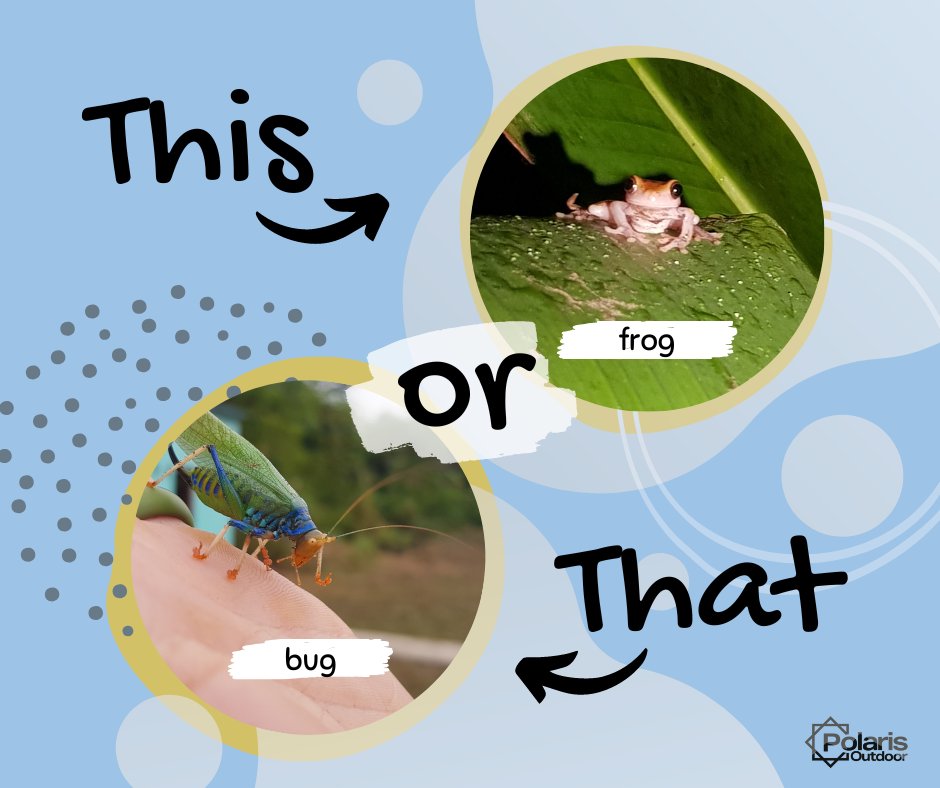 What you rather come face to face with? 
Let's hope it's not in your sleeping bag!
Have you got any photos of your close wildlife encounters?

#bugs #frog #closeencounters #travel #wildlife #adventure #thisorthat #sundayfun