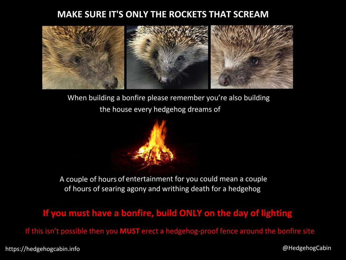 Hedgehog Cabin (@hedgehogcabin) on Twitter photo <a href="/hedgehogsociety/">Hedgehog Society</a> Please change this advice, it is not helpful and may lead to a false sense of security and tragic deaths.
"Lift up the base .." will do nothing:
Hedgehogs don't have the Flight or Fight Reflex that we, and most other mammals have. So when faced with danger or threat they will <a href="/hedgehogsociety/">Hedgehog Society</a> Please change this advice, it is not helpful and may lead to a false sense of security and tragic deaths.
"Lift up the base .." will do nothing:
Hedgehogs don't have the Flight or Fight Reflex that we, and most other mammals have. So when faced with danger or threat they will