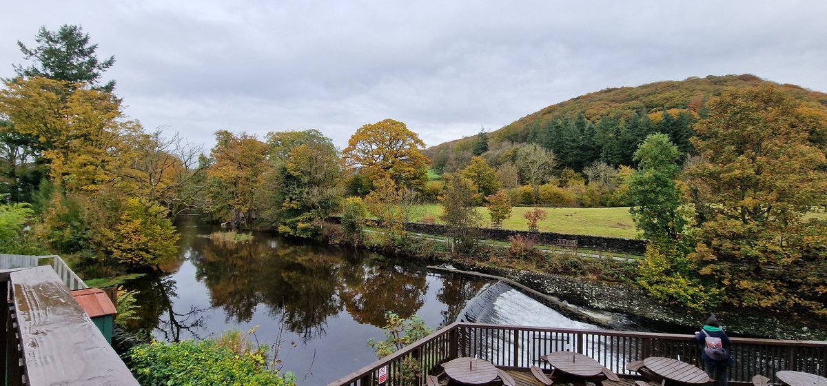 #Autumn
#Staveley
#Wilf'sCafe