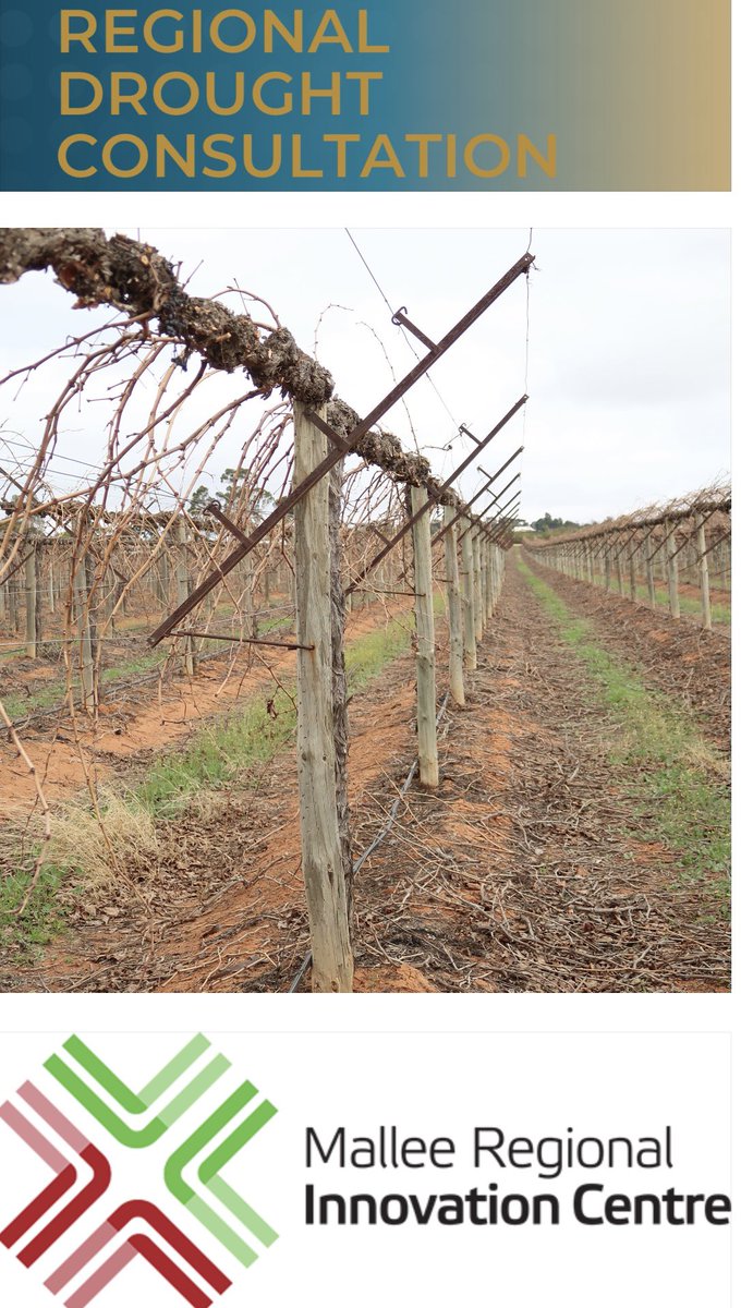 Mallee Regional Innovation Centre (MRIC) (@mric_ceo) on Twitter photo We’re running a 2nd session to hear from dried vine fruit growers to better understand your experiences in drought.
We are holding a consultation session in Mildura Tues 31 Oct 11am to 1pm.
Find out more & secure your seat (places limited) please RSVP mric-agtech@unimelb.edu.au We’re running a 2nd session to hear from dried vine fruit growers to better understand your experiences in drought.
We are holding a consultation session in Mildura Tues 31 Oct 11am to 1pm.
Find out more & secure your seat (places limited) please RSVP mric-agtech@unimelb.edu.au