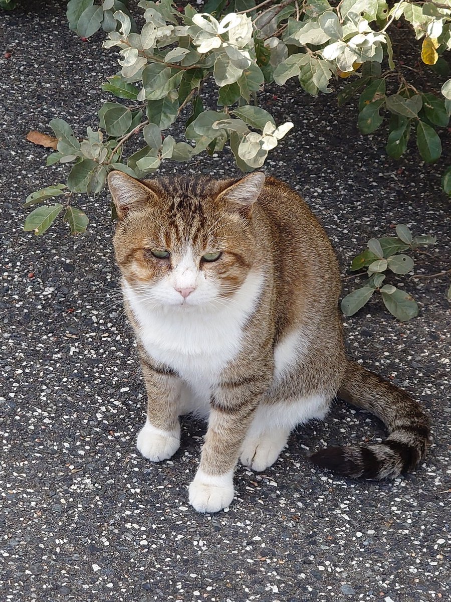 SOUR28953475's tweet photo. 釣り場で発見 https://t.co/GYSuDkGAVa