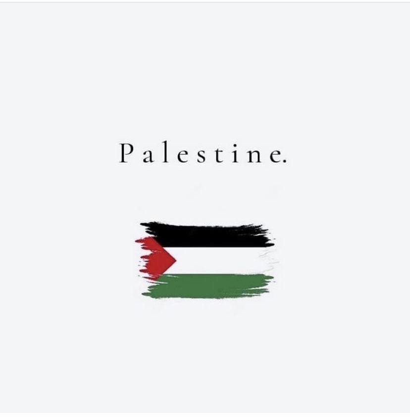 veganskimayo's tweet photo. co możemy zrobić aby wesprzeć palestynę-thread‼️‼️‼️‼️ 
#FreeGaza #FreePalenstine https://t.co/RlWEDSyqum
