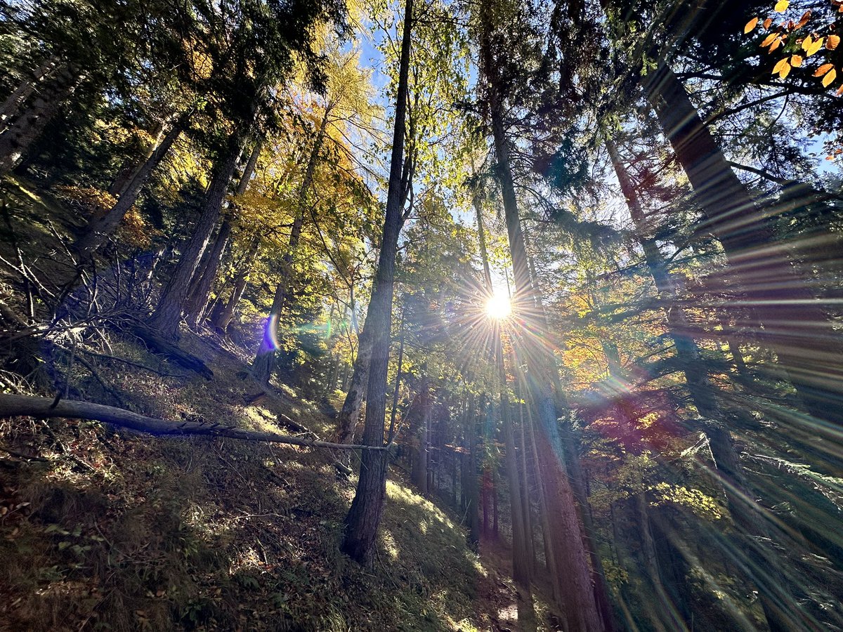 walterstarz's tweet photo. stürmischer Sonnwendstein 💨⛰️💨 https://t.co/A8Pl3qAHPG