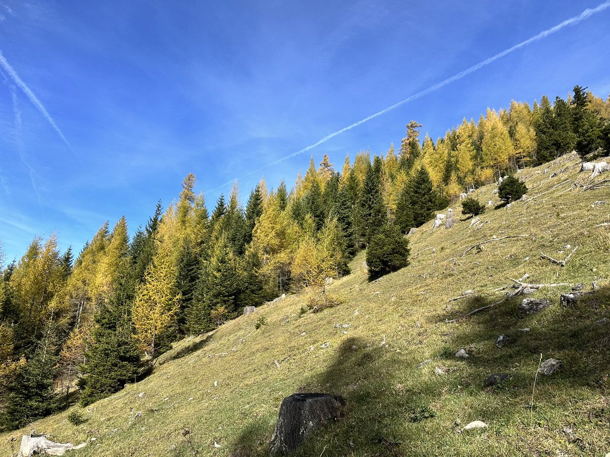 walterstarz's tweet photo. stürmischer Sonnwendstein 💨⛰️💨 https://t.co/A8Pl3qAHPG