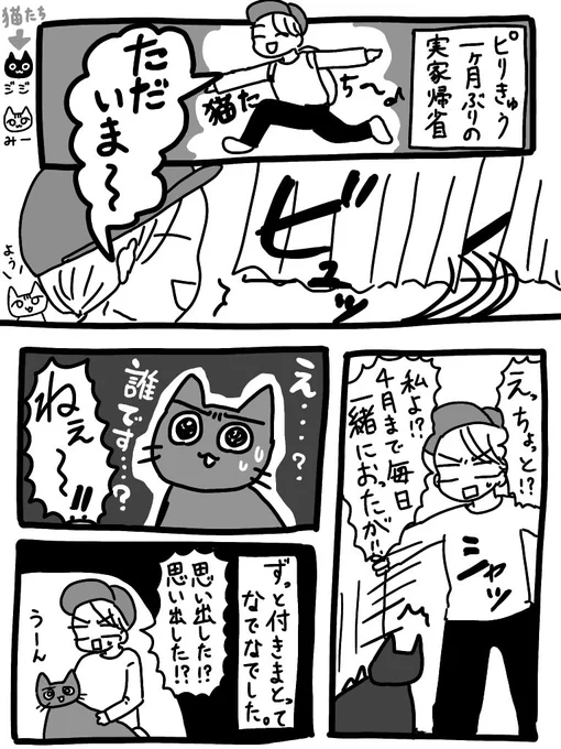 実家を出て猫がよそよそしくなった