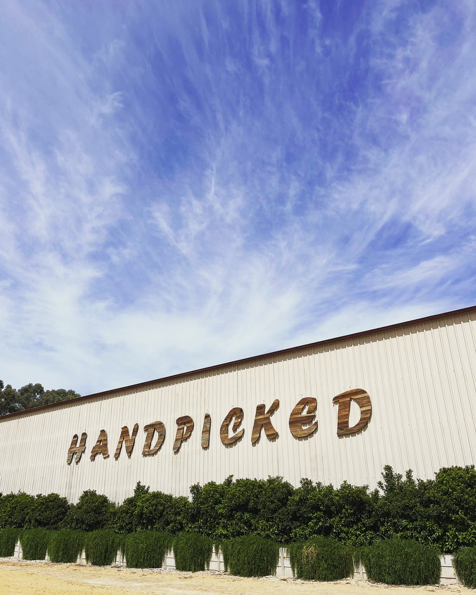 we’re gearing up for our Handpicked Festival… the grounds are looking the goods. The calm before the storm as we prepare car parks and ‘tent city’ and get our ducks in a row for a very busy couple of weeks!