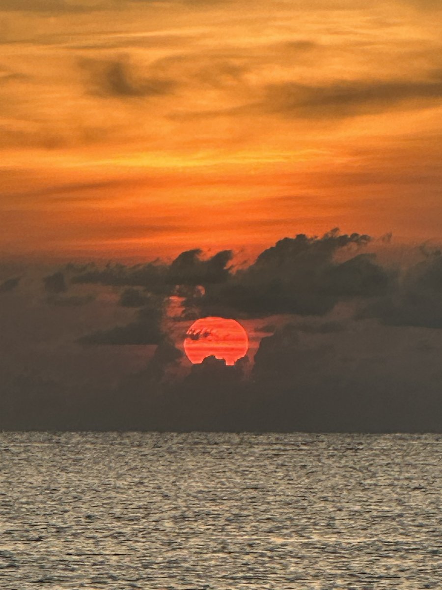tweetwizzo's tweet photo. Day 10 of my 2023 trip report is on the Dibb now. Sunday a bit slow? Why not read about a beach day in Florida? https://t.co/HqSXXBWzRU https://t.co/tKzuftHBlf