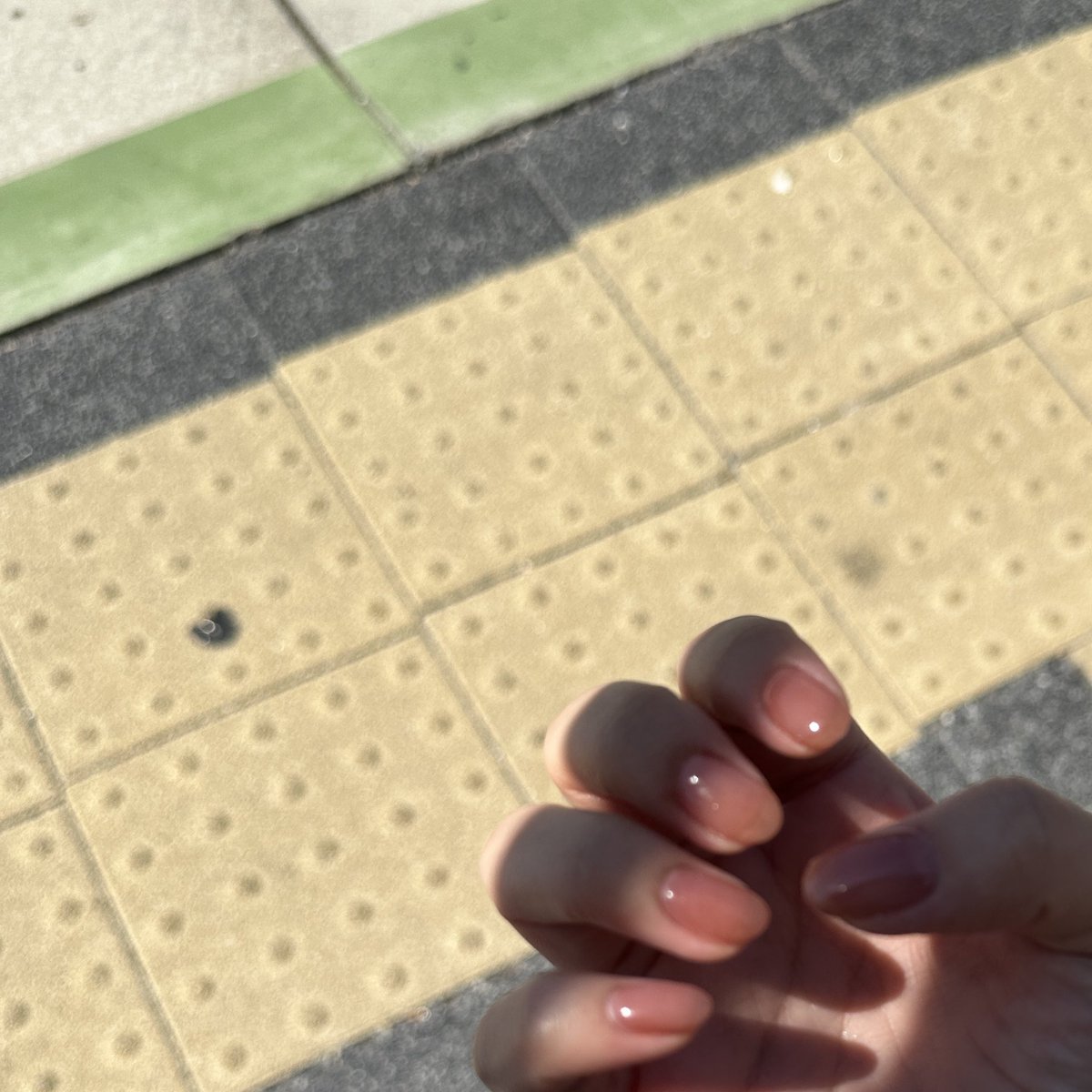 __fk_1261's tweet photo. 定期試験終わったからネイル行って
キングダム観てきた🐴
初ワンカラー!夏っぽく透け感出してもらった https://t.co/zeuZeJLgiJ