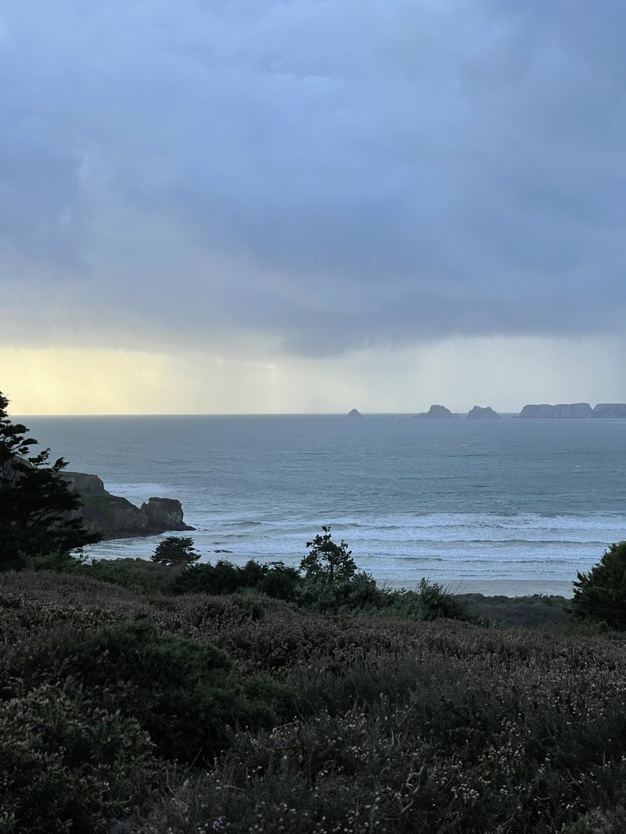📷
Postez votre dernière photo nature, pas de selfie, ni description ! 
Et voilà.