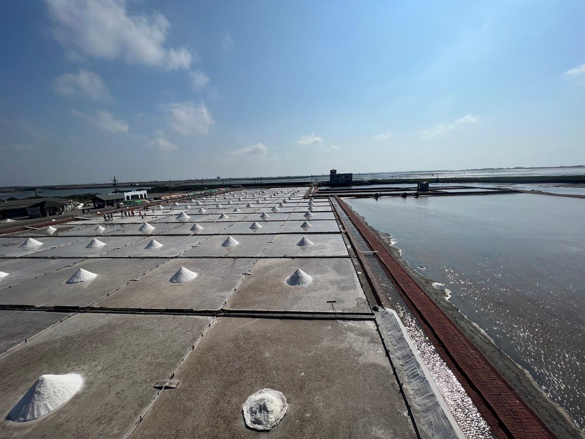 Taiwan Birding 台灣🐤 tweet media