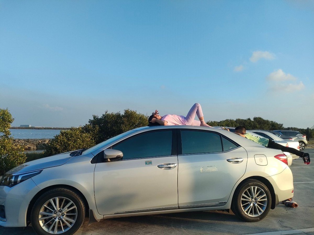 Taiwan Birding 台灣🐤 tweet media