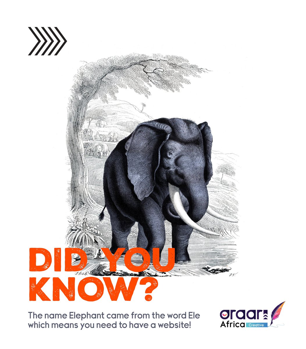 araari africa (@araariafrica) on Twitter photo 