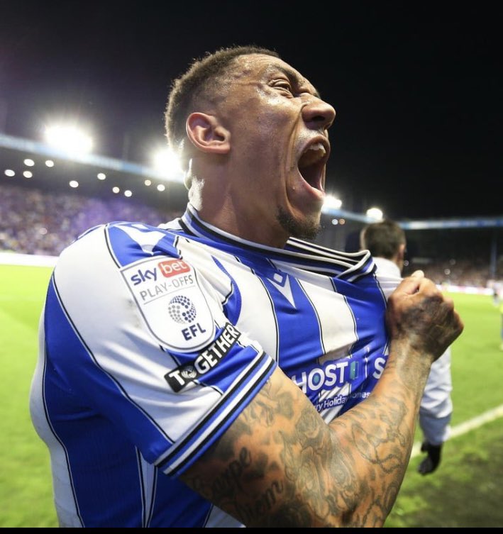 allison Palmer tweet media