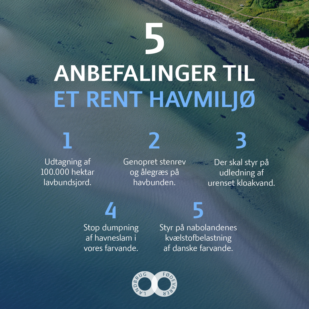 spisekammeret's tweet image. Vi deler ambitionen om et sundt vandmiljø. Mange virkemidler ligger lige for og bør tages i brug hurtigst muligt.  Lad os fx få sat skub i udtagningen af 100.000 hektar landbrugsjord ved at tilføre flere ressourcer til arbejdet #dkpol