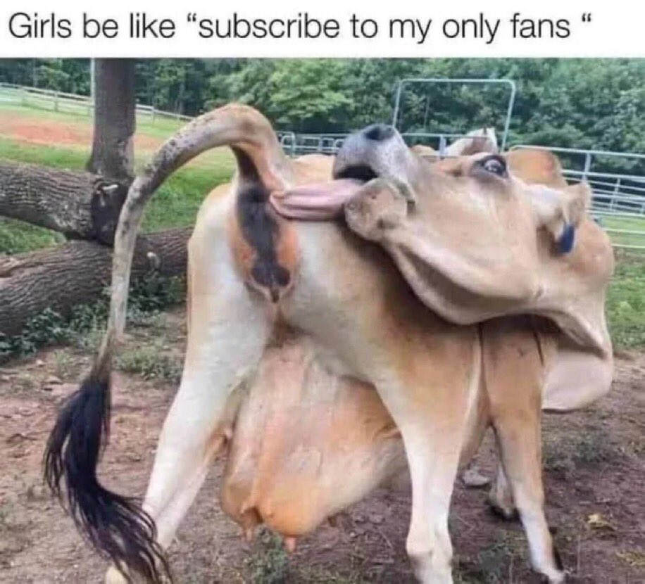 @karollinamay <a href="/Cobratate/">Andrew Tate</a> I couldn’t help it sorry😭😂💀