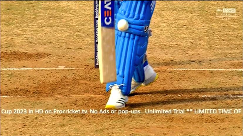 TalkB4Wicket's tweet photo. Caption?? https://t.co/9y19Lxqh7X