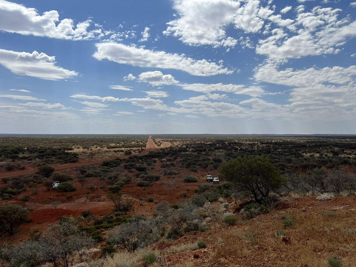 Neilham2007's tweet photo. A big thank you again to all the GBVolunteers @NightParrotWA Starting off with the Two-way school science. Then continuing the desert biodiversity surveys. See you all back again in 2023. #Research #Twowayscience #volunteers #Biodiversity #birding #banding #desert 🦜🦇🕷️🦅🦎🕷️👀 https://t.co/JCtqkKTDa3