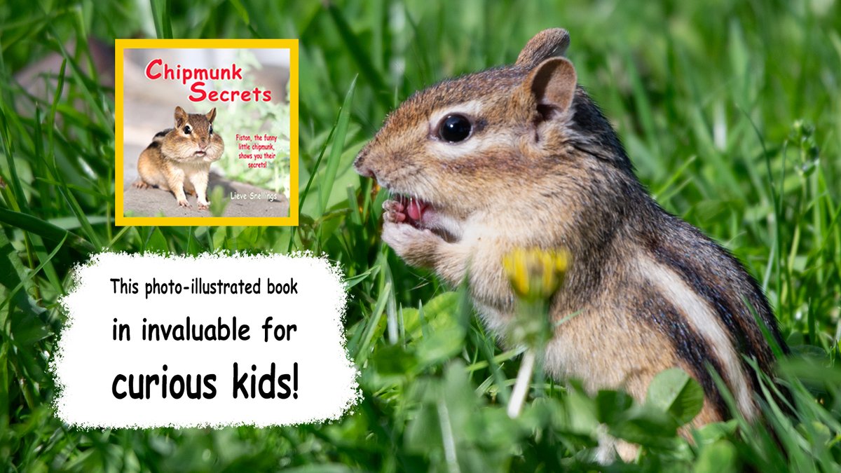 Have you ever wondered what it's like to have cheeks like a #chipmunk, where food stashes can rival a treasure trove? This captivating non-fiction picture book is an adventure your kids won’t want to miss
mybook.to/6o8X
#KCHpromote #LearningIsFun
