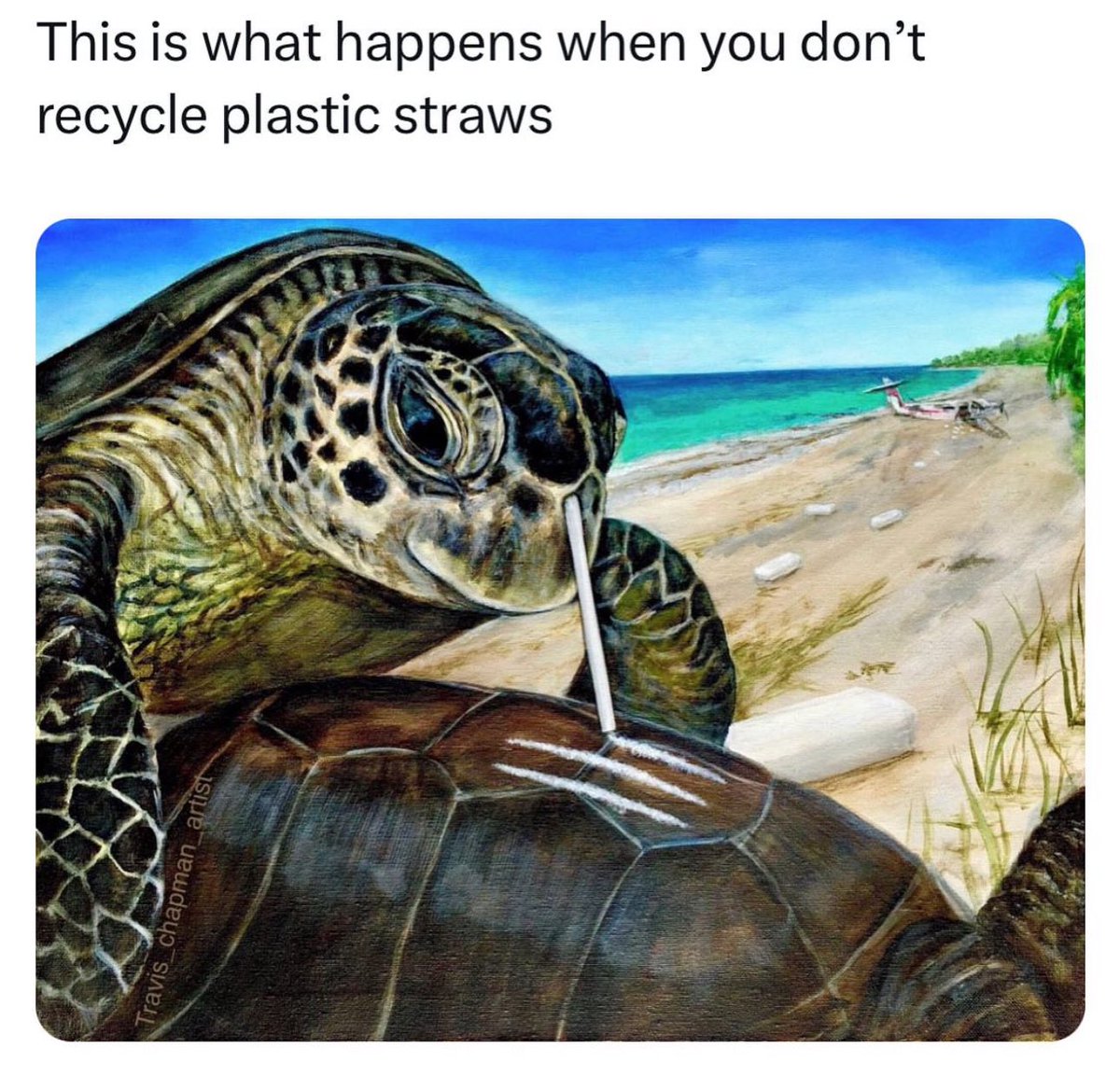 #SaveTheTurtles