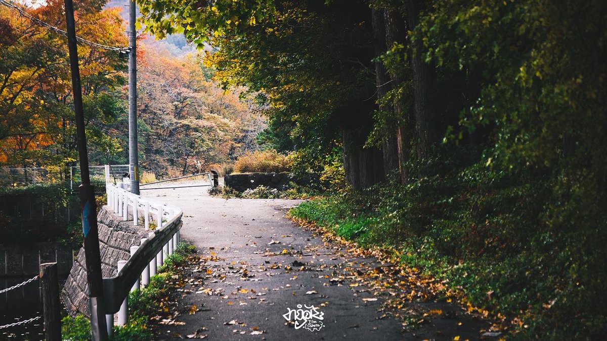 Pond side.🍁

#紅葉 #autumn #fall #fujifilm #fujifilmxs10
