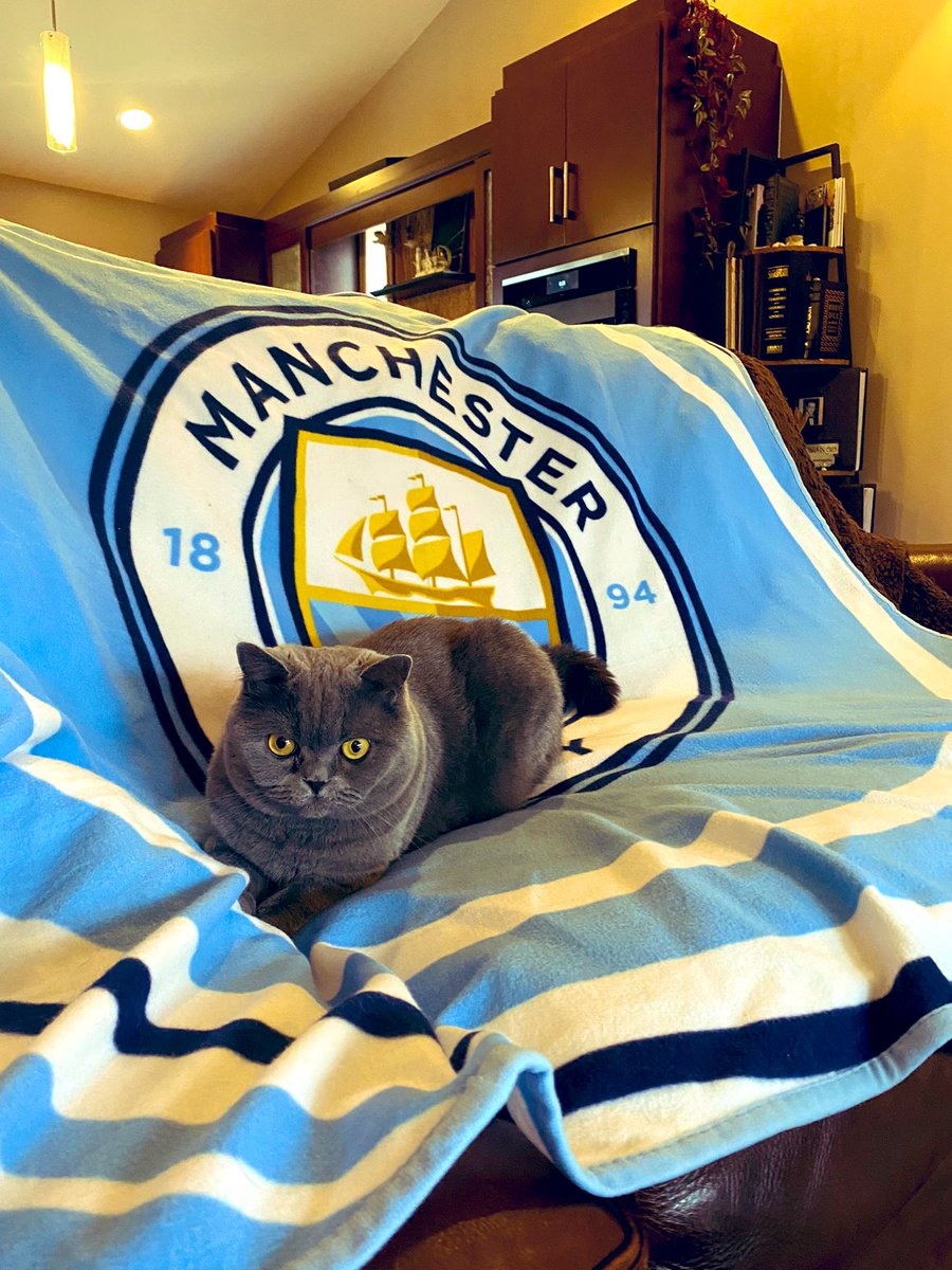 ArchieFaybepuff's tweet photo. Boo the Man City Kitty! Let's go lads! #MyPLMorning @ManCity #mankitty #citykitty #ManchesterDerby #PremierLeague #fan https://t.co/eevbKmg8p7
