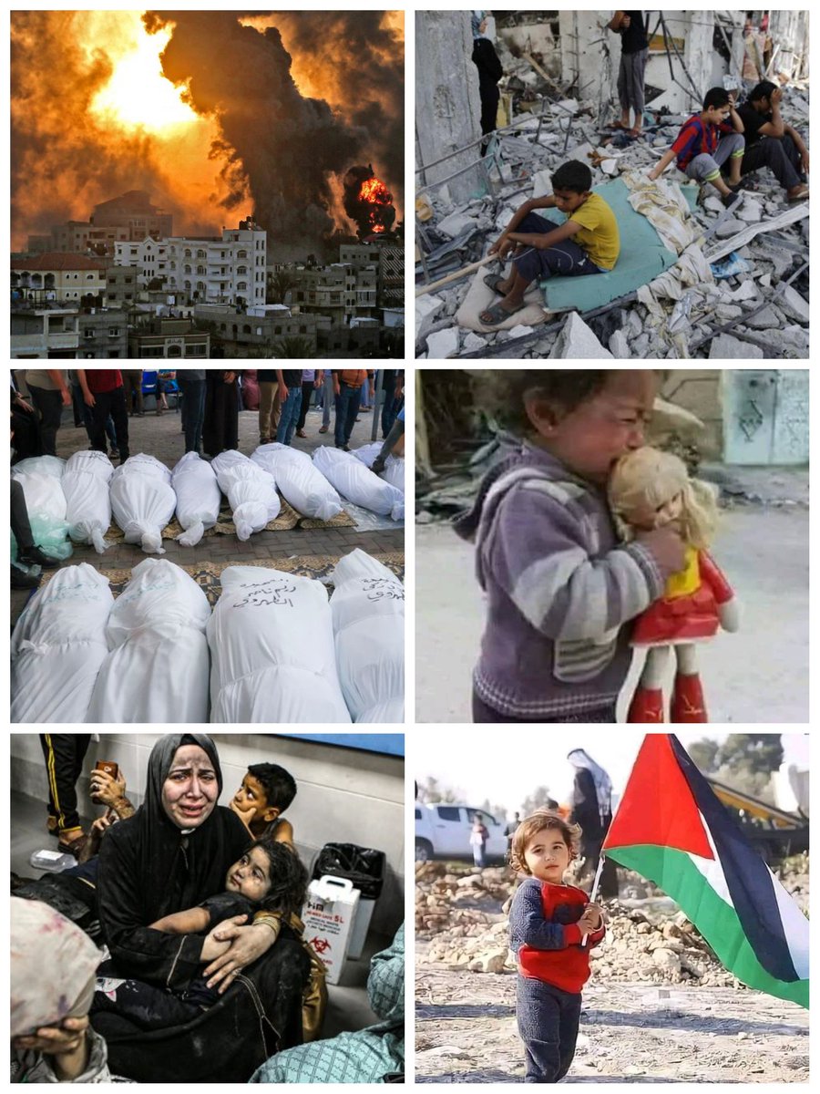 ⚫⚪🟢Escandalosas cifras reflejan la masacre que se suscita en Palestina.

🔔🔔🔔Los números ascienden a más de 8.000 palestinos asesinados por Israel en la Franja de Gaza, la mitad de ellos niños.

🖤Es una cruel realidad, un exterminio sin límites...

#Palestine 
#DeZurdaTeam