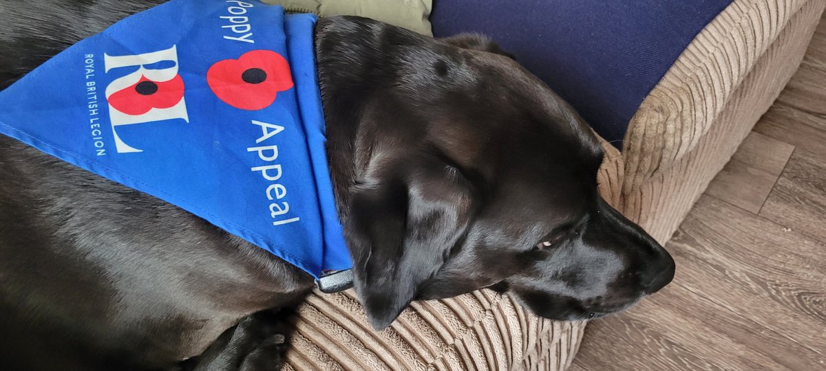 clowesy65's tweet photo. Had a busy morning  out selling  poppy's  ,we all have to do our  bit https://t.co/7WfqO9aqe4