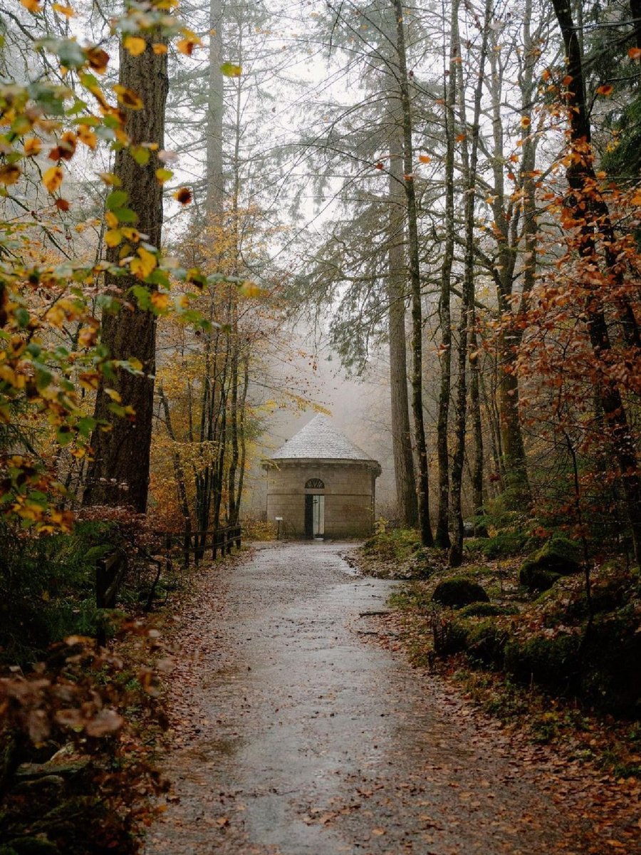 National Trust for Scotland tweet media