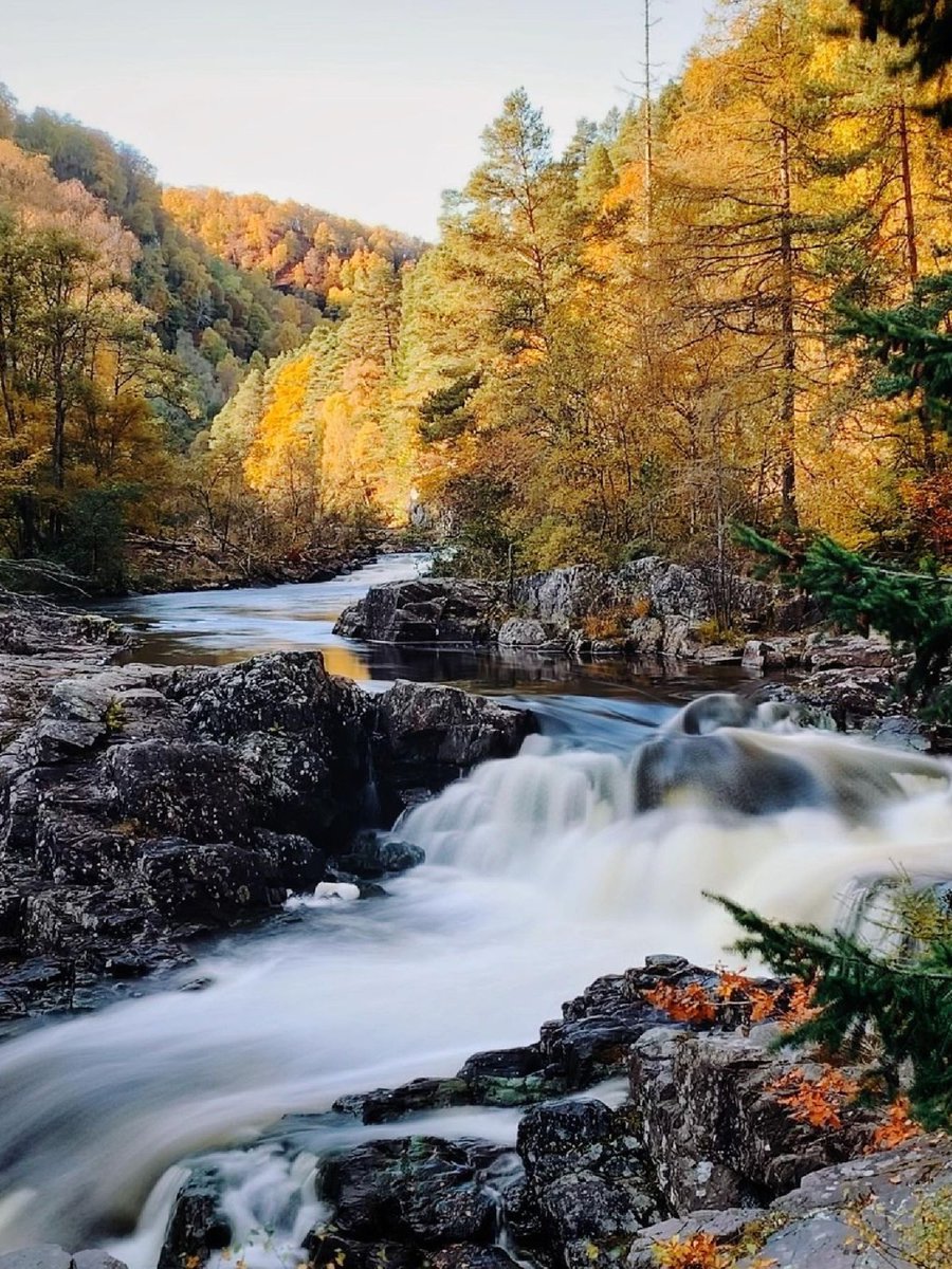 National Trust for Scotland tweet media