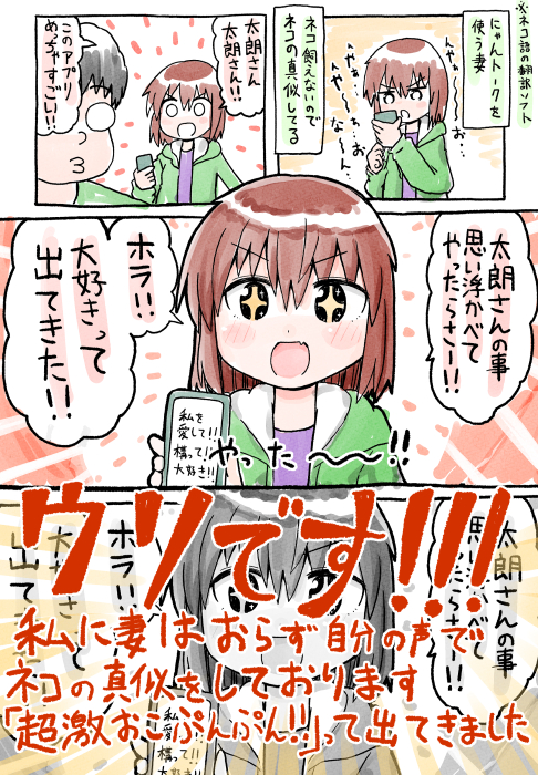 昔あった猫の翻訳機の時の妻についての日記漫画です