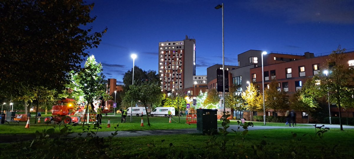 Illumination of the trees 🎄has begun around the @AstonUniversity campus.

#TeamAston #AstonForLife