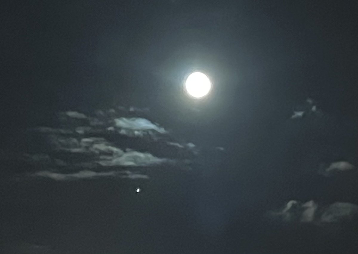 tortiegertie's tweet photo. https://t.co/VNOtdcqWRQ #moon #jupiter #NightSky #October #FullHuntersMoon #HuntersMoon https://t.co/CJZvRIbBEZ