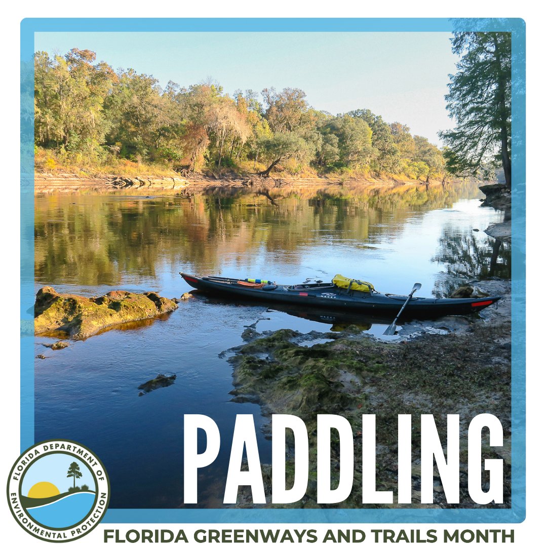 FLDEPNews's tweet photo. #DYK the Suwannee River Wilderness Trail runs 170+ miles from near the Georgia border to the Gulf Coast? As you #GoOutdoorsFL, add this scenic paddling trail to your list of new adventures. 🛶
Take a virtual tour!
🌐: https://t.co/gRAOfAqjNW
#FLDEP #FLStateParks #LoveFL https://t.co/8HKEUtU1V4