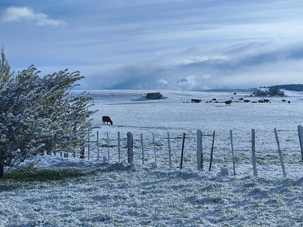 claudiojeda's tweet photo. Un amanecer distinto en la #patagonia #coyhaique #alerta https://t.co/n34u0t8soD