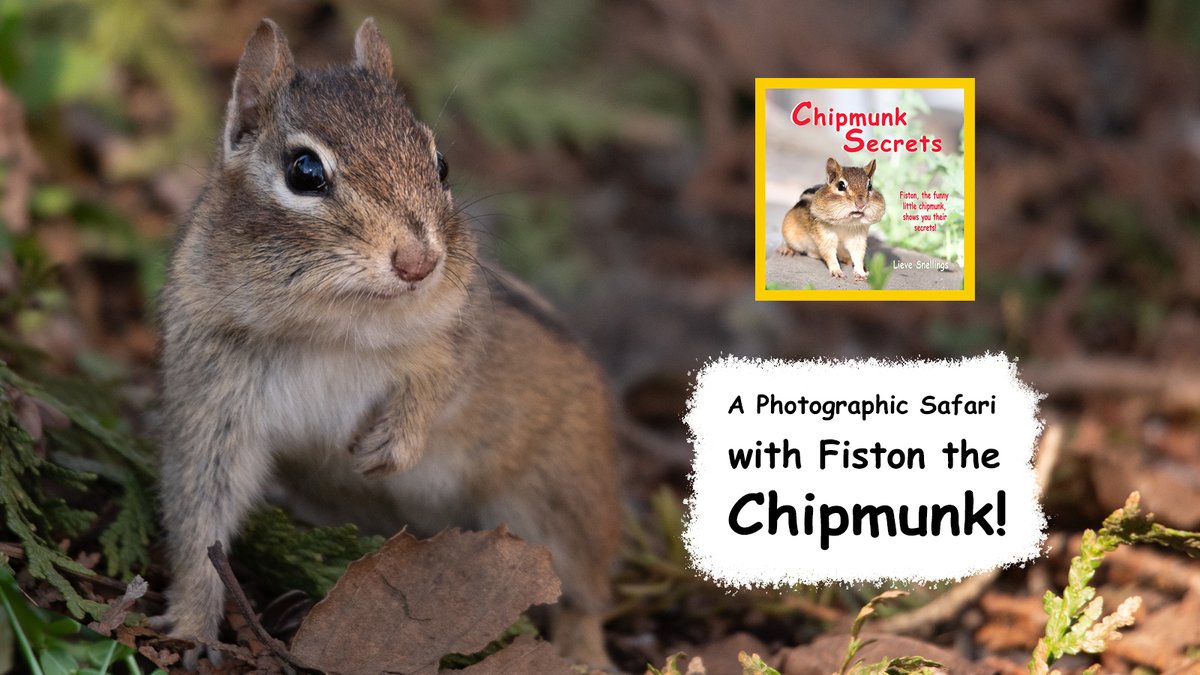 Stunning photographs on every page bring the world of chipmunks to life! Perfect for young nature enthusiasts and animal lovers. mybook.to/6o8X #KCHpromote #ChildrensBooks #LearningIsFun #kidsbooks #Animal #NaturePhotograhpy