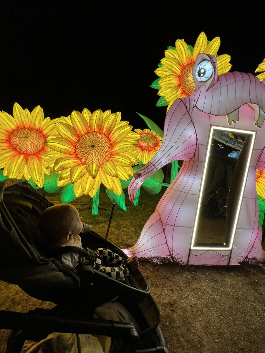 Brie E Anderson | GA4, GTM, GDS tweet media