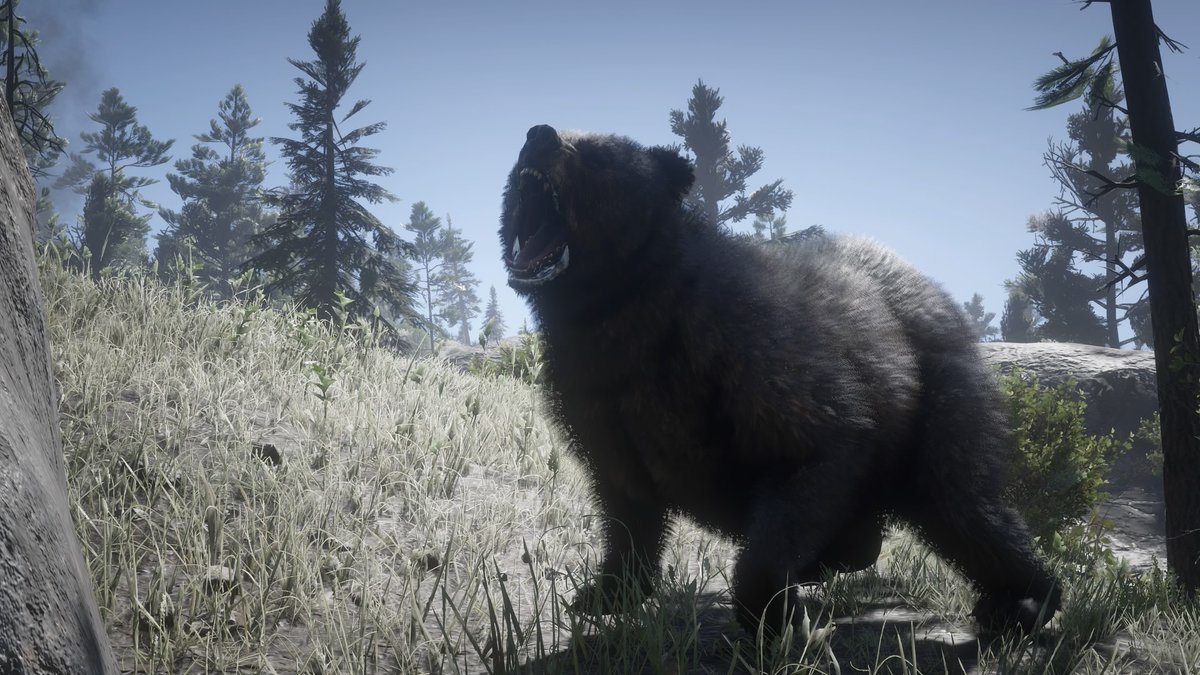 Wizz_008's tweet photo. #ArthurMorgan #RedDeadRedemption2 #RDR2 #virtualphotography #PS4share https://t.co/VUF6pMVM2E