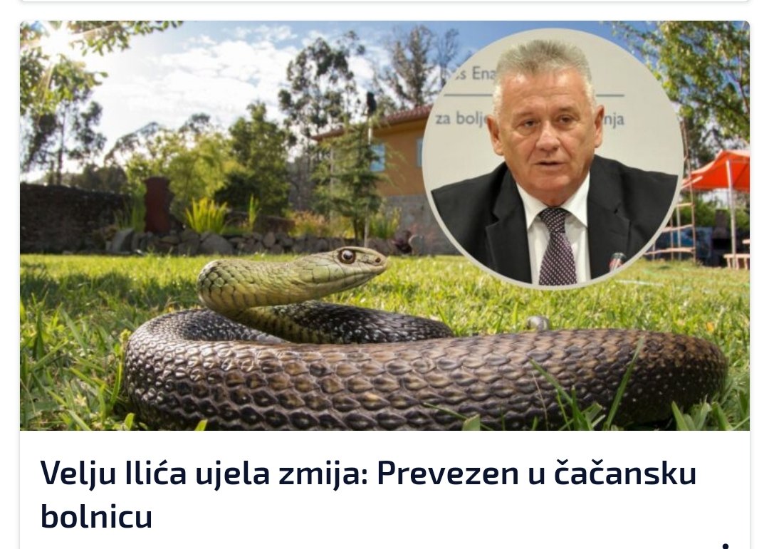 propali_bluzer's tweet photo. zmija prevezena na detoksikaciju https://t.co/M8NQmItoNL